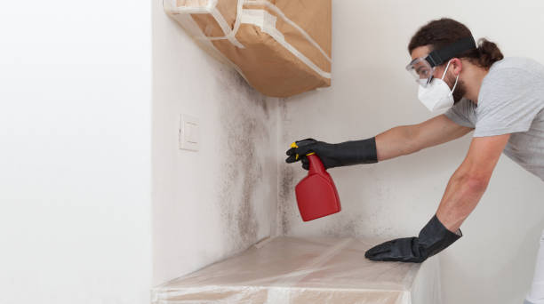 Professional Basement Mold Remediation technician working in Farmingdale, NY